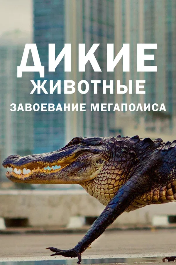 Постер «Дикие животные: Завоевание мегаполиса»