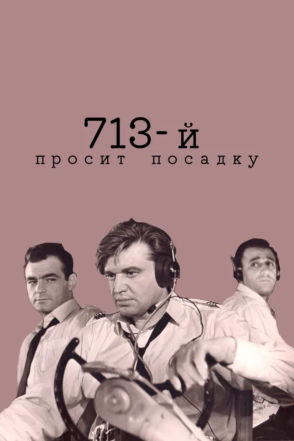 Постер «713-й просит посадку»