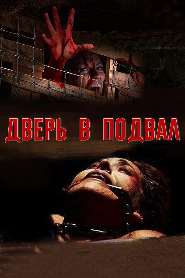 Постер «Дверь в подвал»