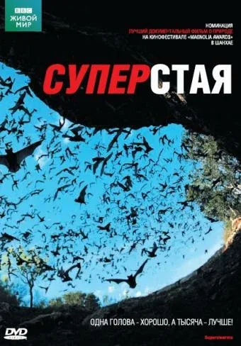 Постер «BBC: Суперстая»