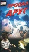Постер: Пропал друг