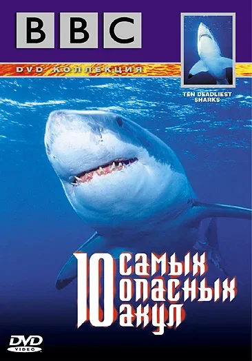Постер «BBC: 10 самых опасных акул»