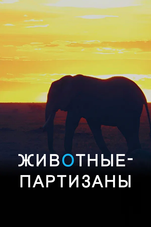 Постер: Животные-партизаны