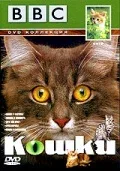 Постер «BBC: Кошки»