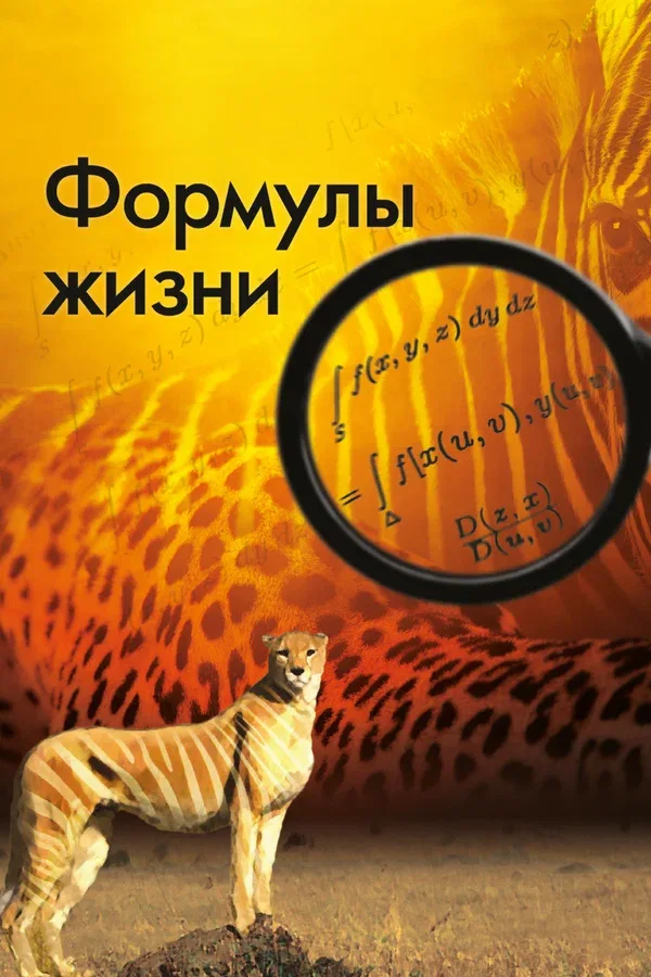 Постер «Формулы жизни»
