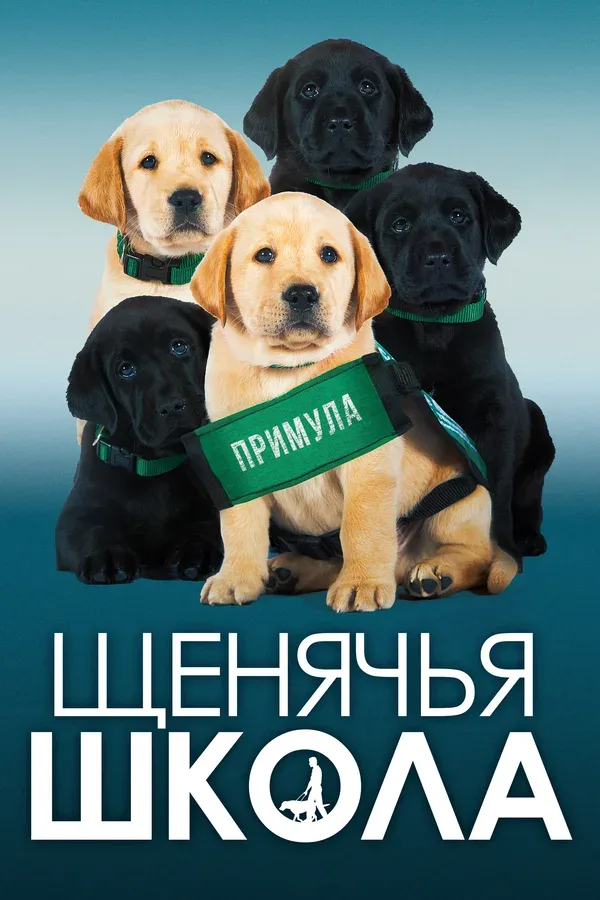 Постер «Щенячья школа»