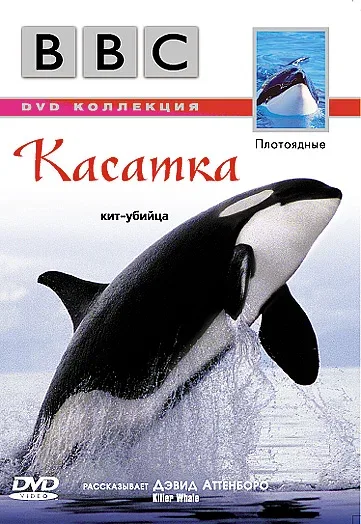 Постер «BBC: Касатка»