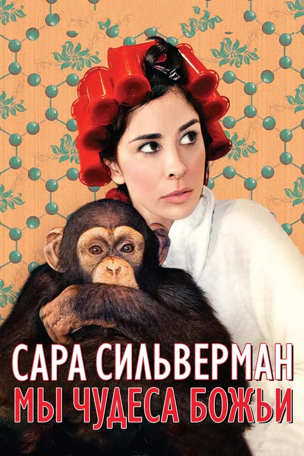 Постер: Сара Сильверман: Мы — чудеса Божьи