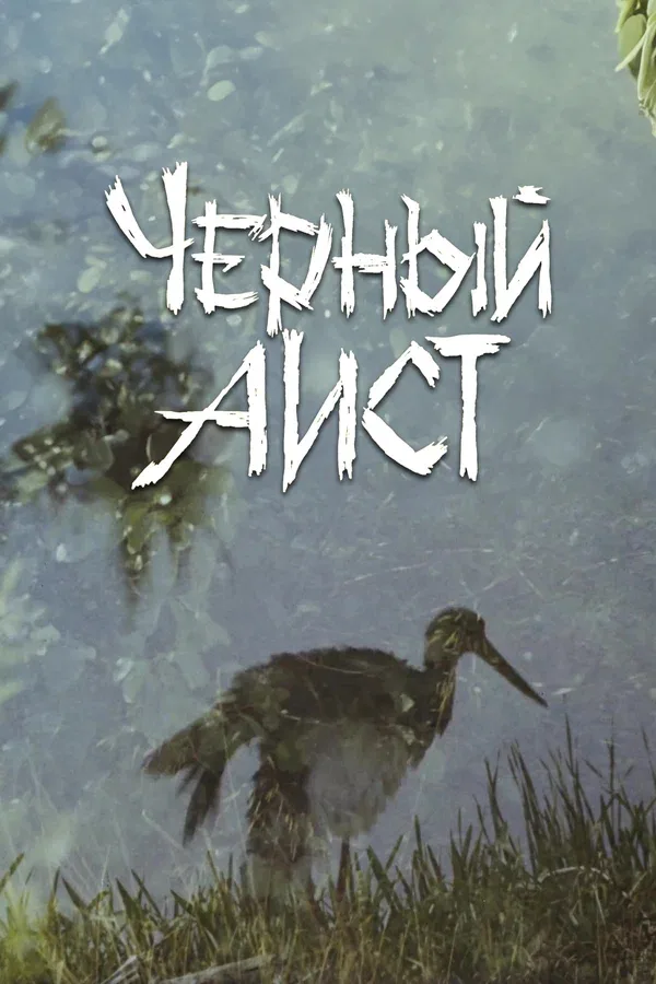 Постер «Черный аист»