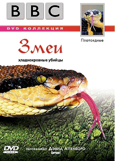Постер «BBC: Змеи»