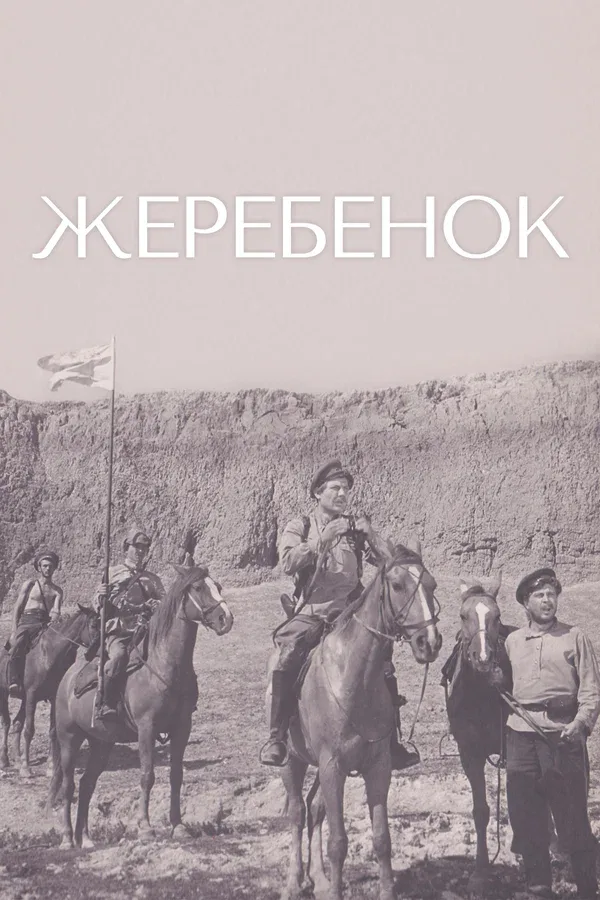 Постер: Жеребенок