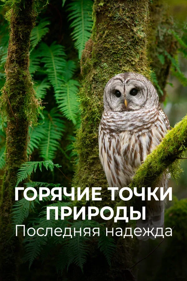 Постер «Горячие точки природы. Последняя надежда»