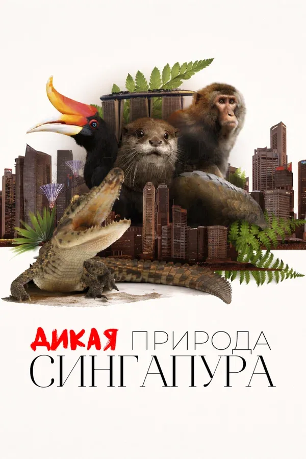 Постер «Дикая природа Сингапура»