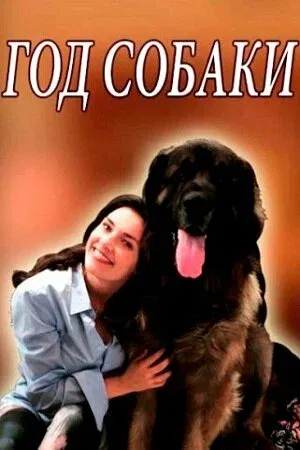 Постер «Год собаки»
