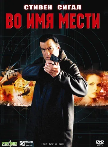 Постер: Во имя мести