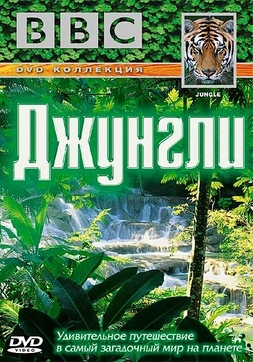 Постер «BBC: Джунгли»