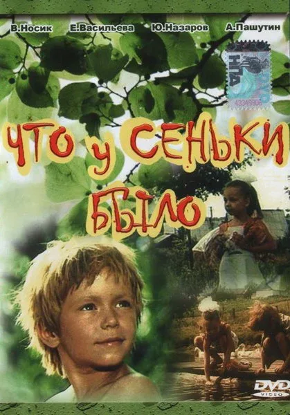 Постер «Что у Сеньки было»