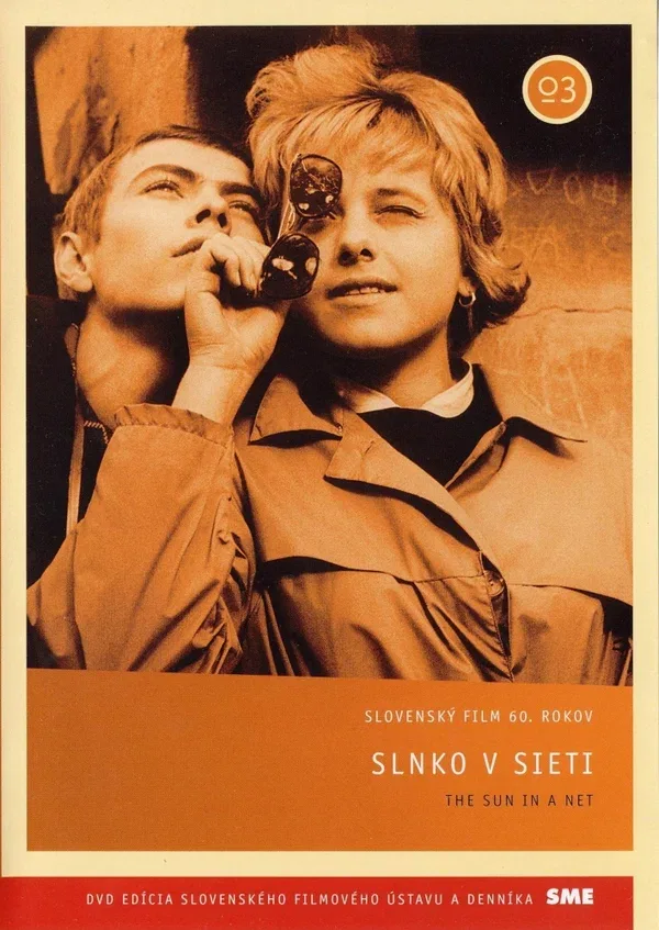 Постер: Солнце в сети