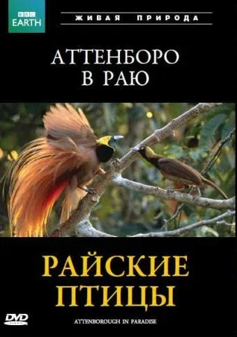 Постер «BBC: Райские птицы»