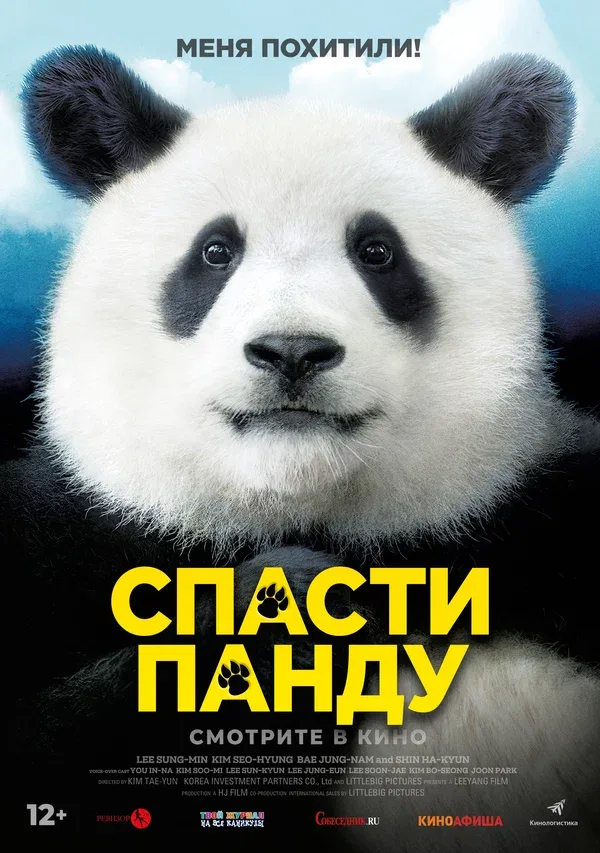 Постер: Спасти панду
