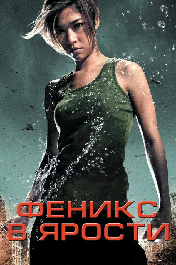 Постер «Феникс в ярости»