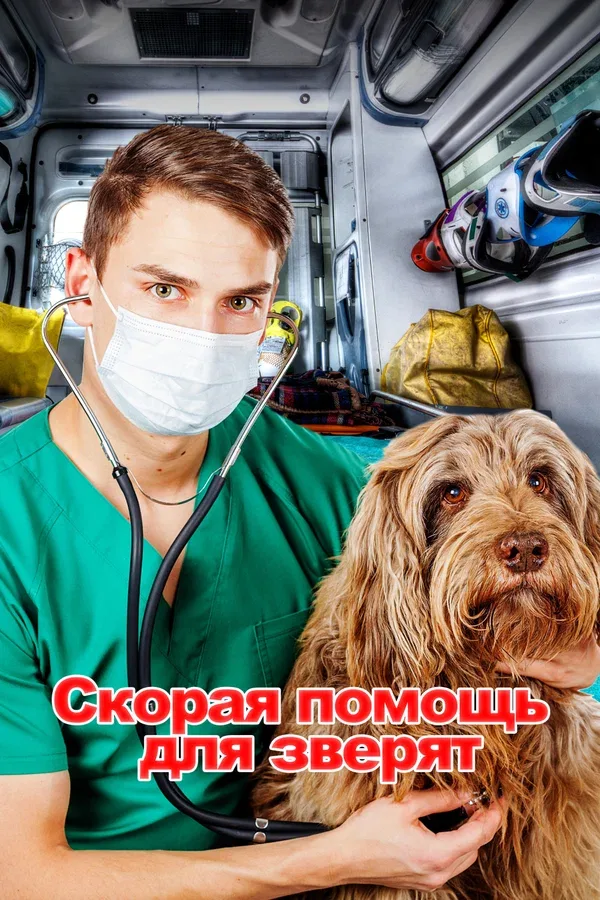 Постер: Скорая помощь для зверят