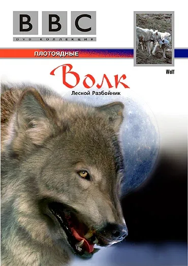 Постер «BBC: Волк»