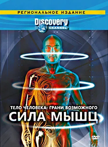 Постер «Discovery: Тело человека. Грани возможного»