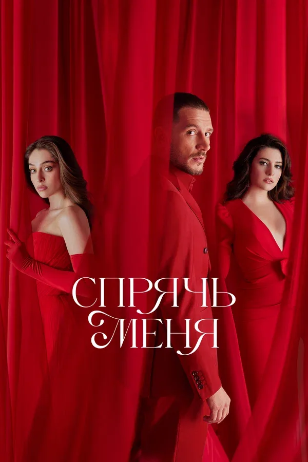 Постер «Спрячь меня»