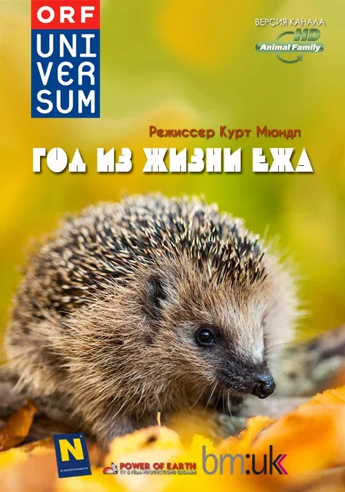 Постер «Год из жизни ежа»