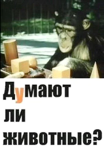 Постер «Думают ли животные?»