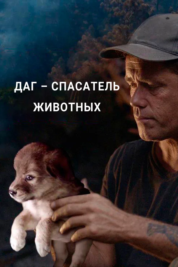 Постер «Даг – спасатель животных»
