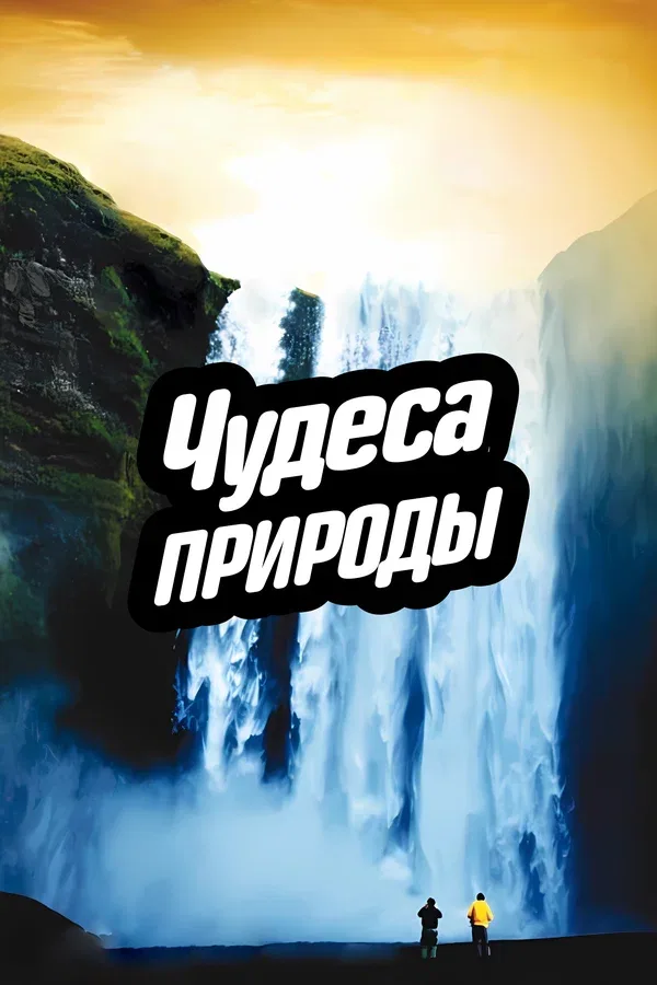 Постер «Чудеса природы»