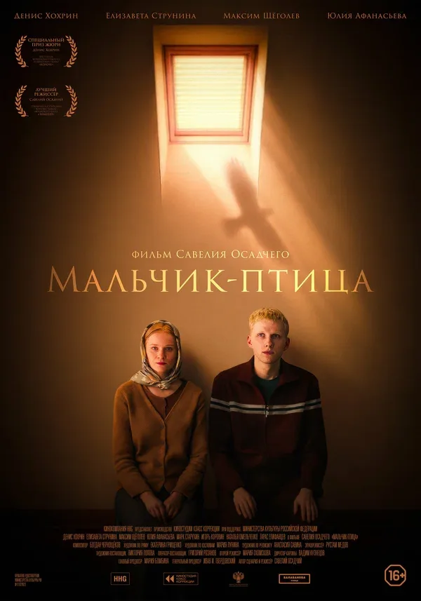 Постер: Мальчик-птица