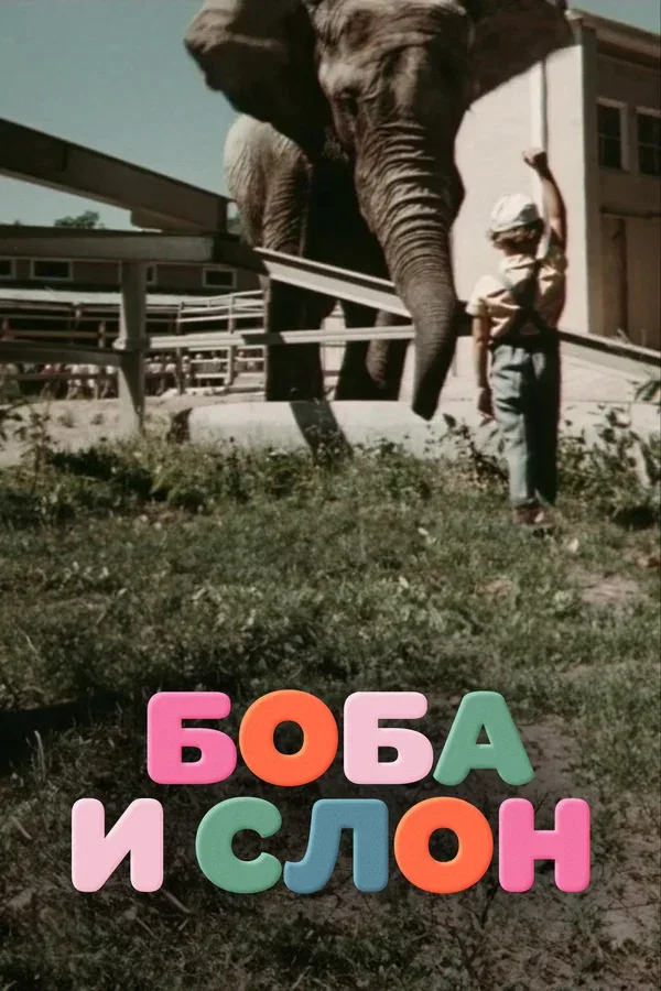 Постер «Боба и слон»