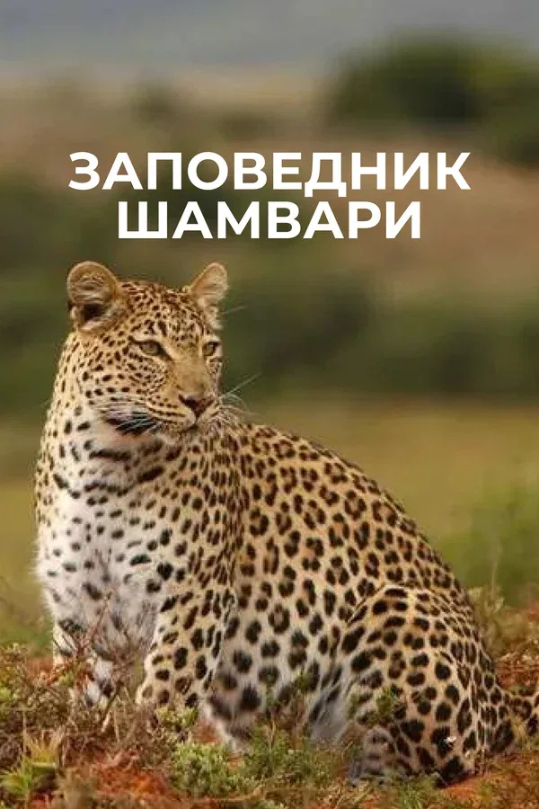 Постер: Заповедник Шамвари