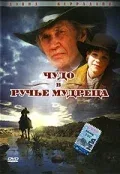 Постер: Чудо в Ручье мудреца