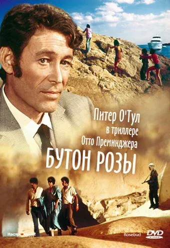 Постер: Бутон розы