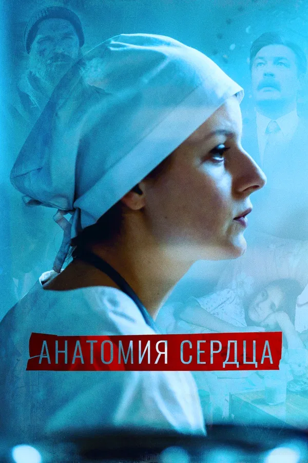Постер: Анатомия сердца