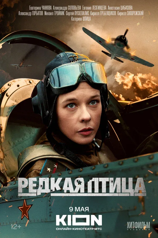 Постер «Редкая птица»