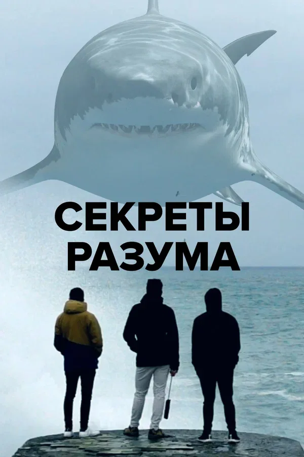 Постер: Секреты разума