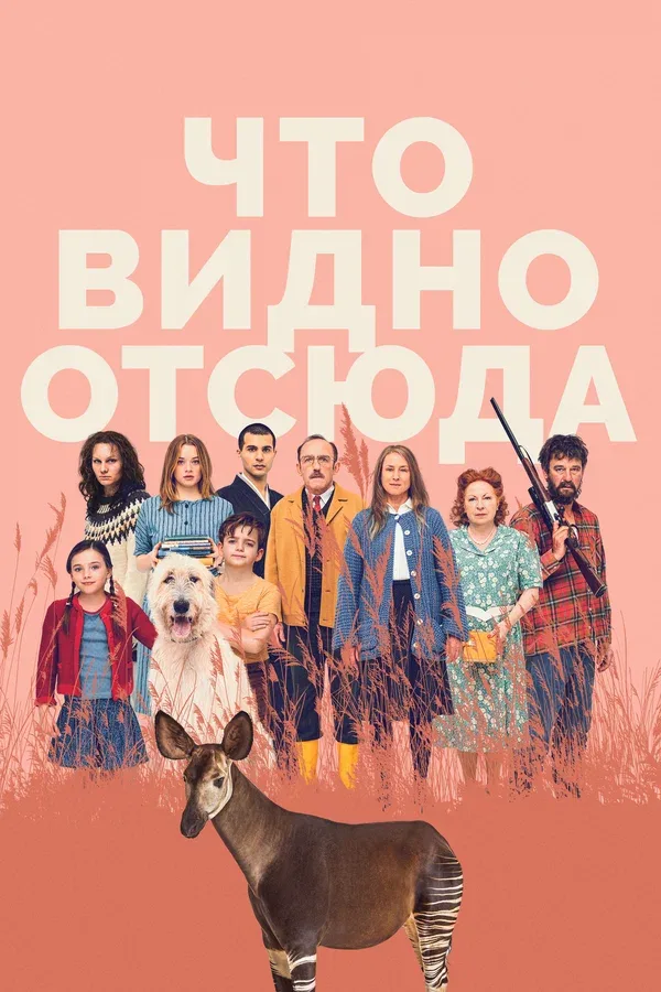 Постер «Что видно отсюда»