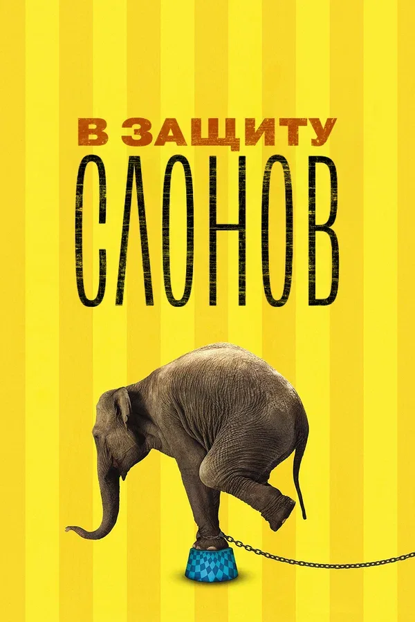 Постер «В защиту слонов»