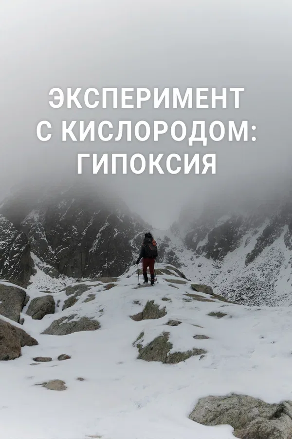 Постер «Эксперимент с кислородом: гипоксия»