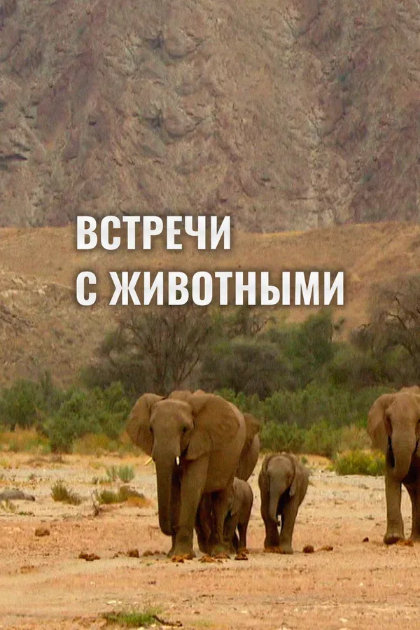 Постер: Встречи с животными