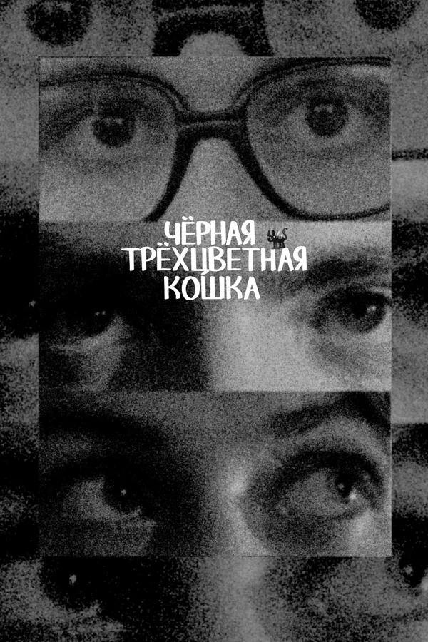 Постер «Чёрная трёхцветная кошка»