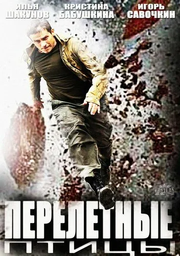 Постер: Перелётные птицы