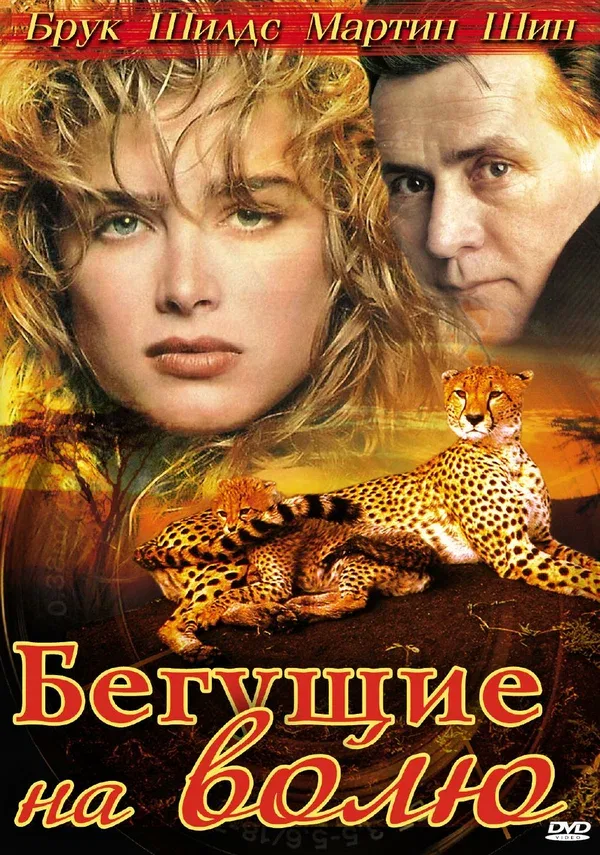 Постер «Бегущие на волю»