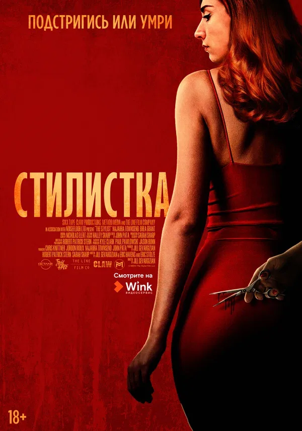 Постер: Стилистка