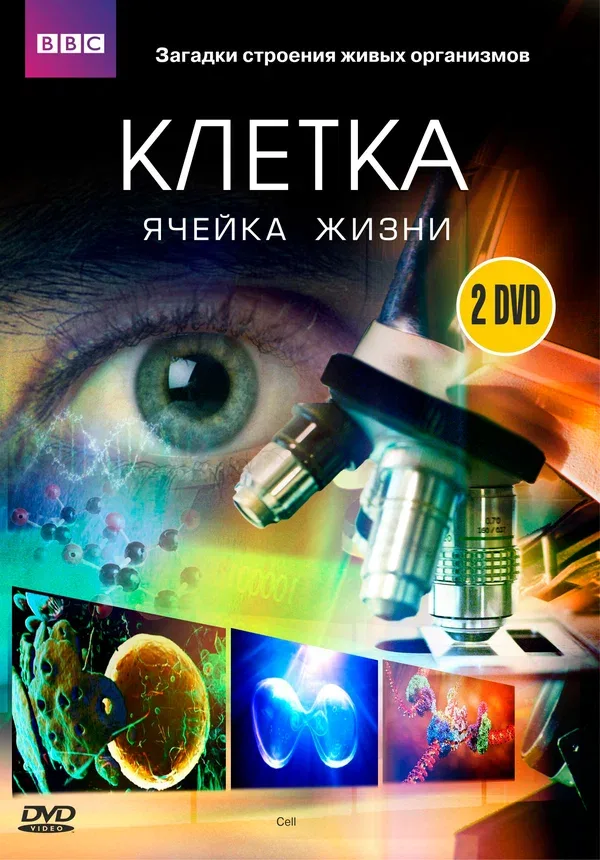 Постер «BBC: Клетка»